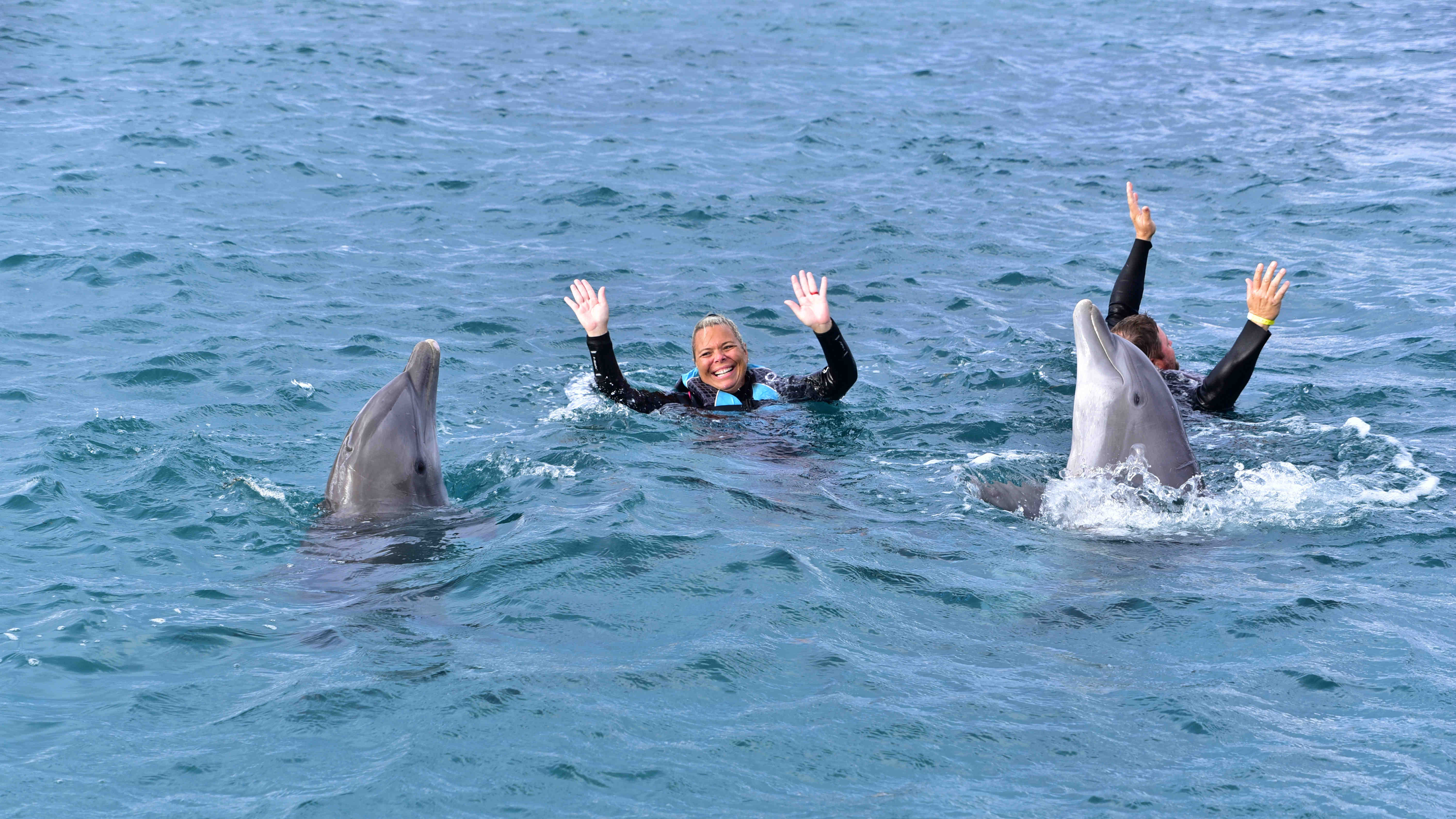 Dolphin Encounter in Roatan