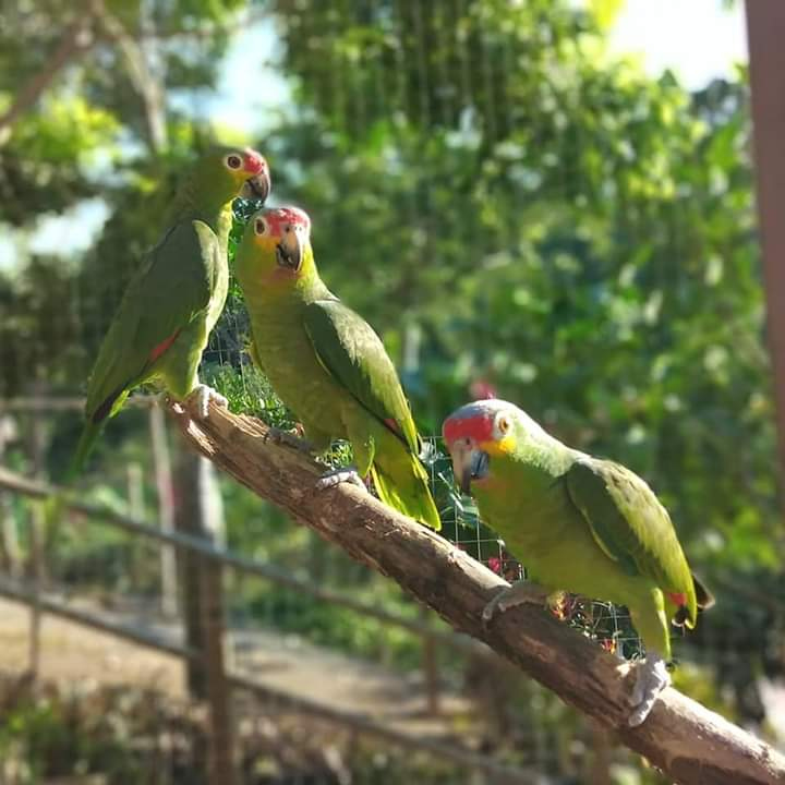 Nature Park in Roatan