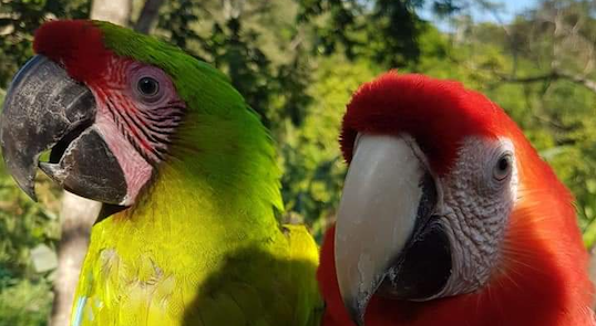 Nature Park in Roatan