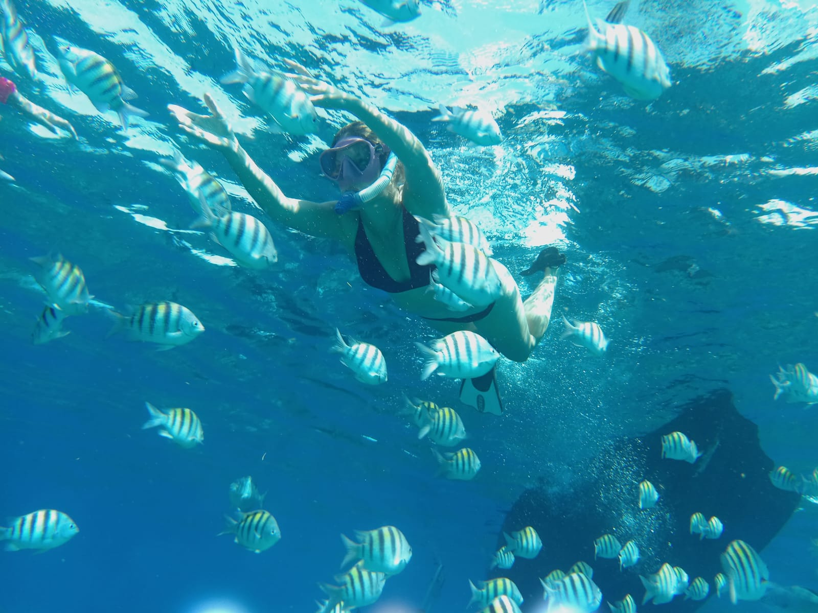 Snorkeling in Roatan crystal clear water