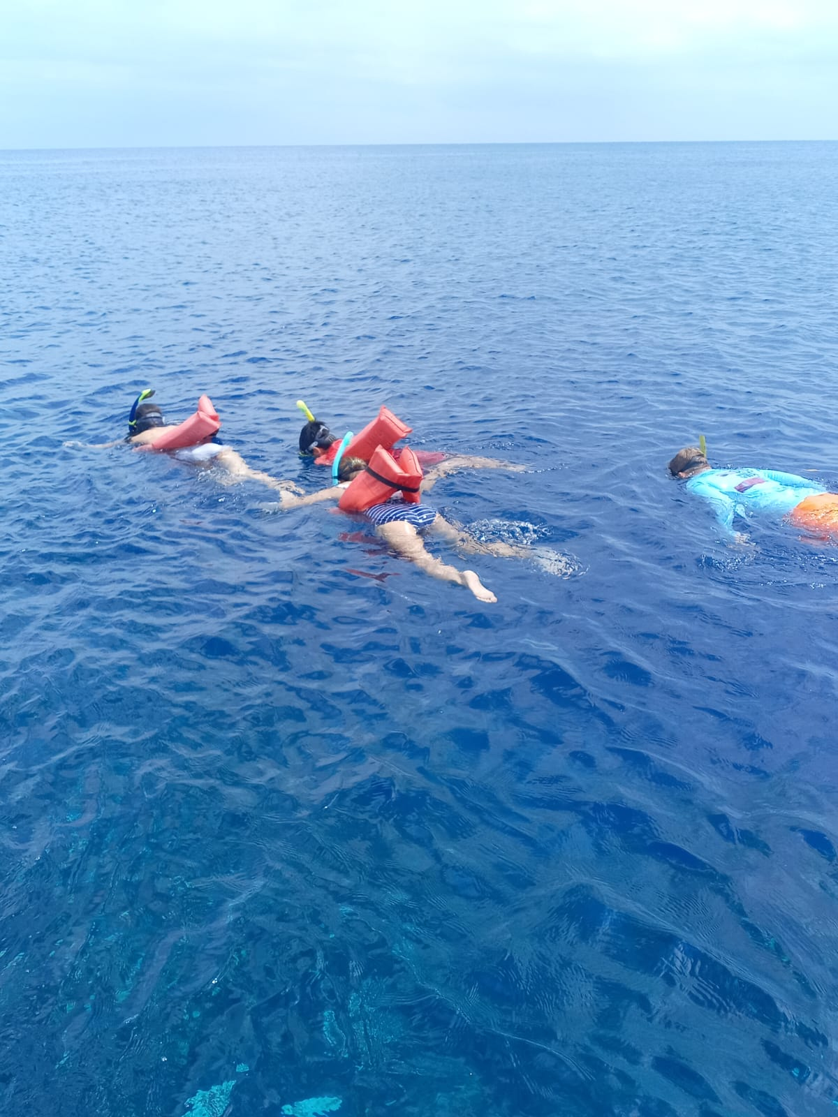 Snorkeling in Roatan